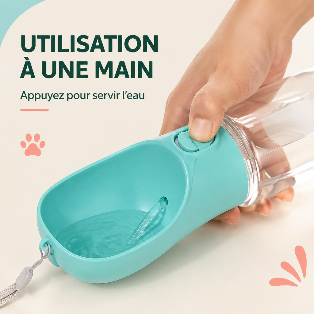 Bouteille de voyage pour boire
